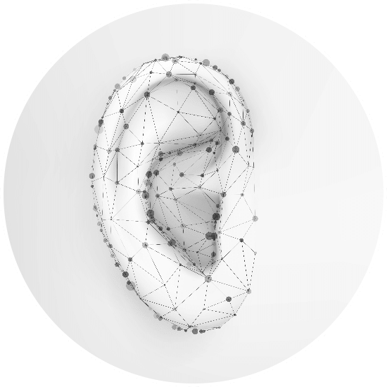 3D digital ear scan